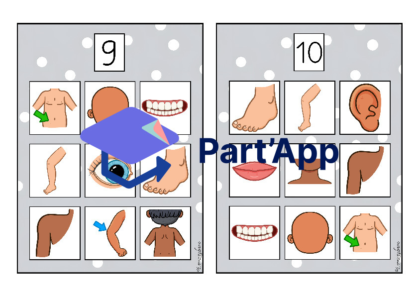 Bilderbingo: Körper / Körperteile_6