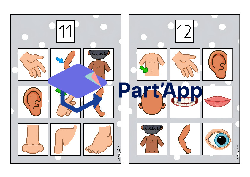 Bilderbingo: Körper / Körperteile_7