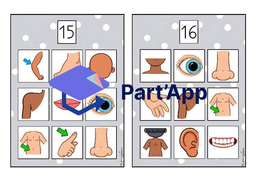 Bilderbingo: Körper / Körperteile_9