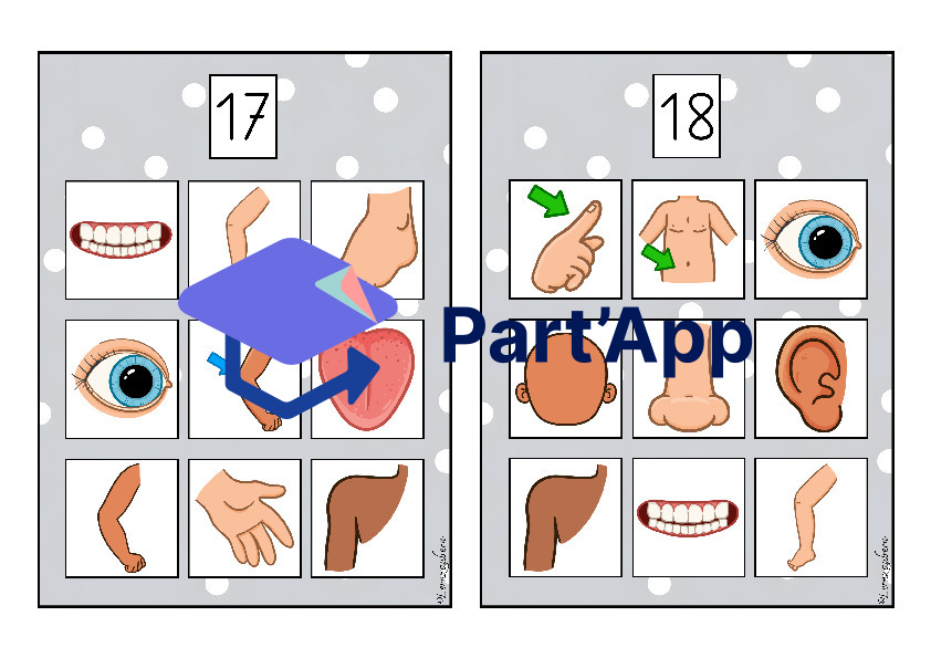 Bilderbingo: Körper / Körperteile_10