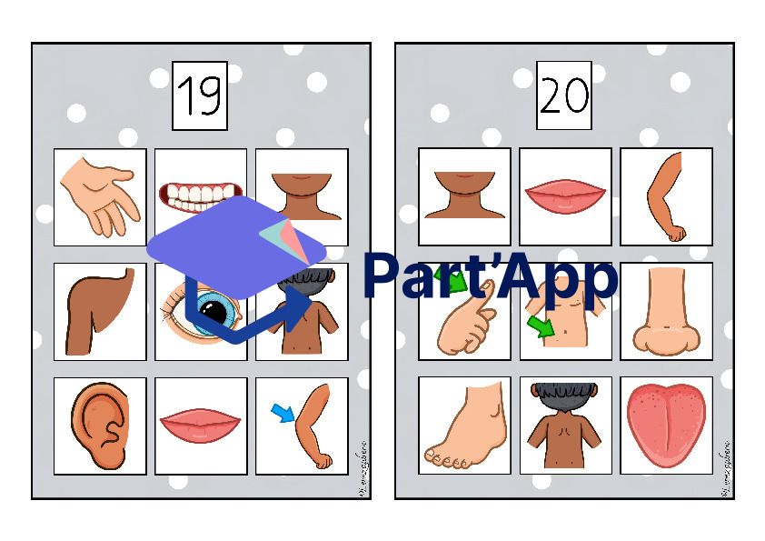 Bilderbingo: Körper / Körperteile_11