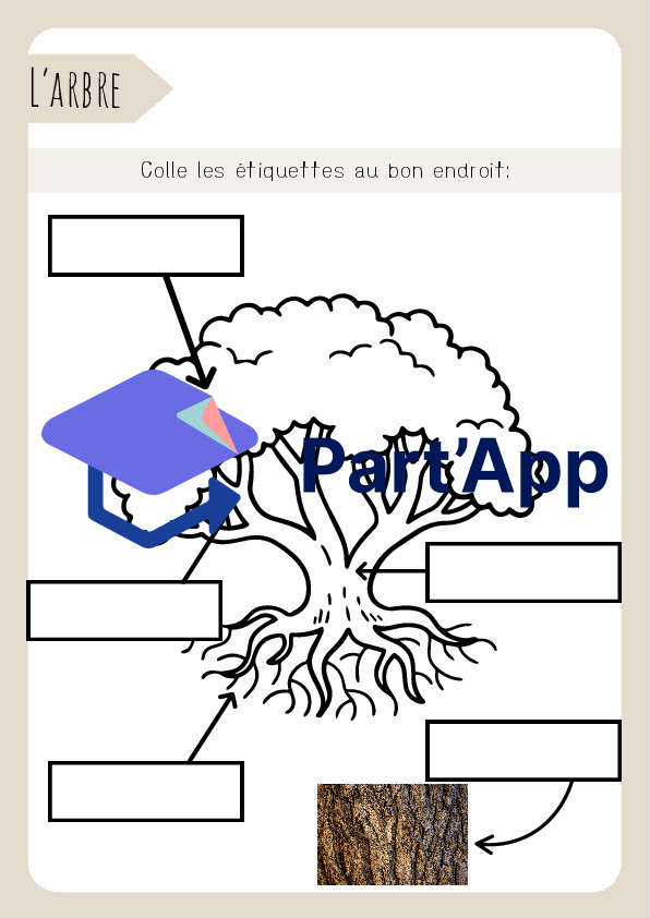 3H/4H: CE - Dossier "les arbres"_4