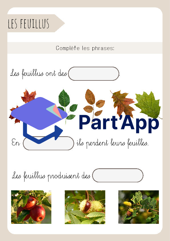 3H/4H: CE - Dossier "les arbres"_8