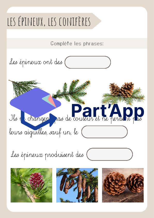 3H/4H: CE - Dossier "les arbres"_9