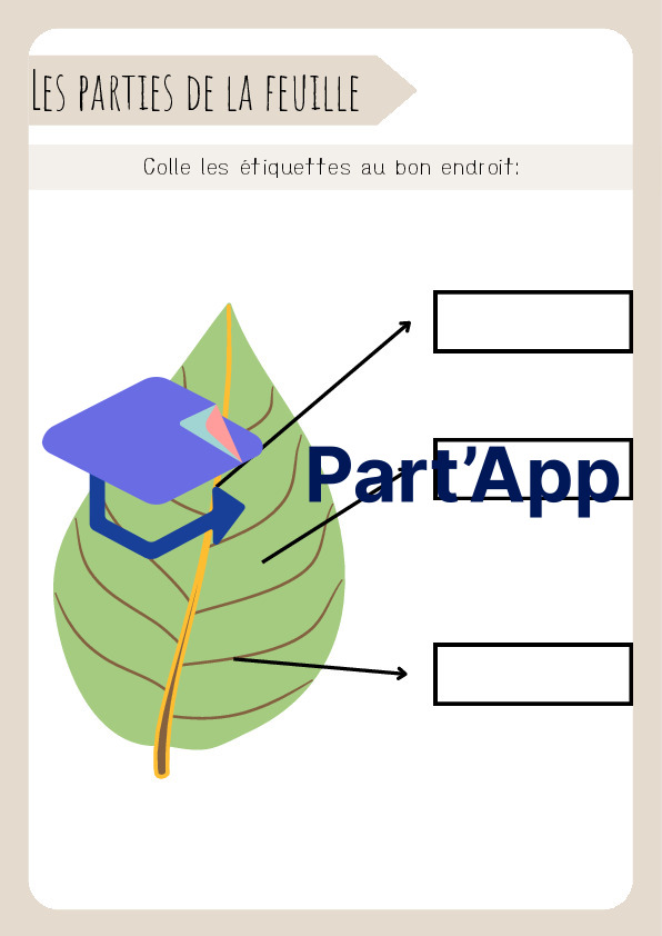 3H/4H: CE - Dossier "les arbres"_10