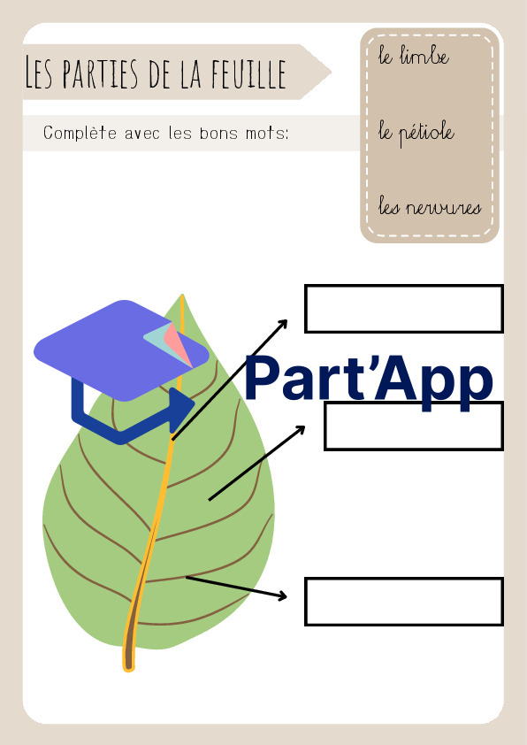 3H/4H: CE - Dossier "les arbres"_11