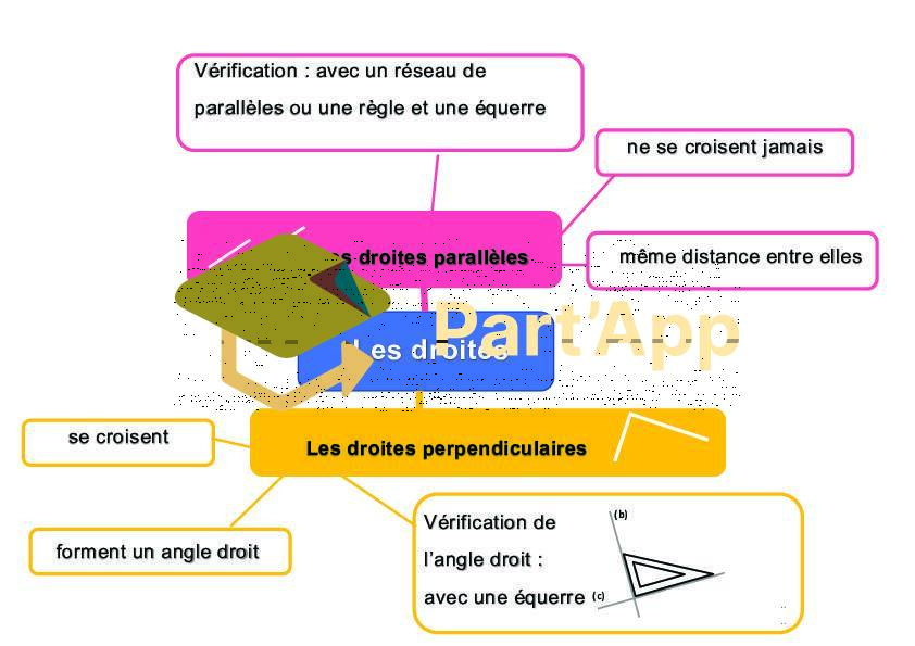 Cartes mentales: figures planes_19