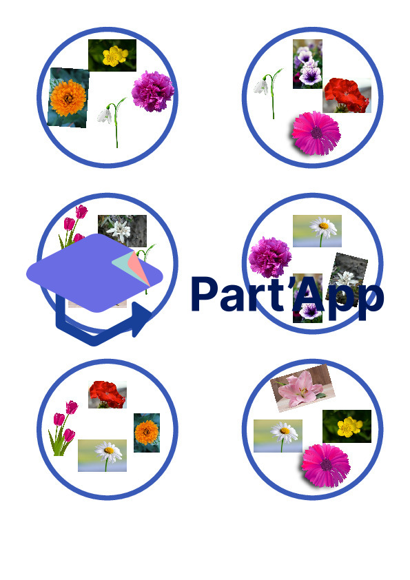 Dobble Blumen_3