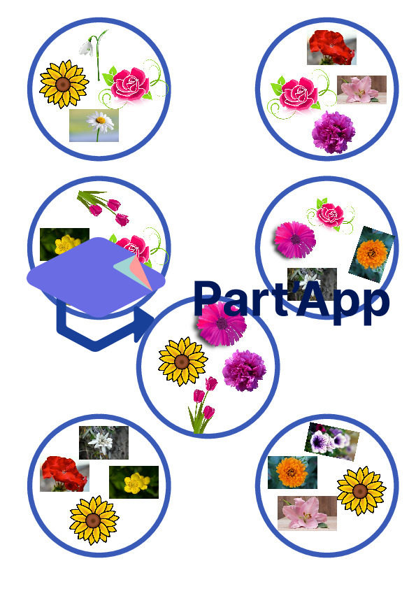 Dobble Blumen_4