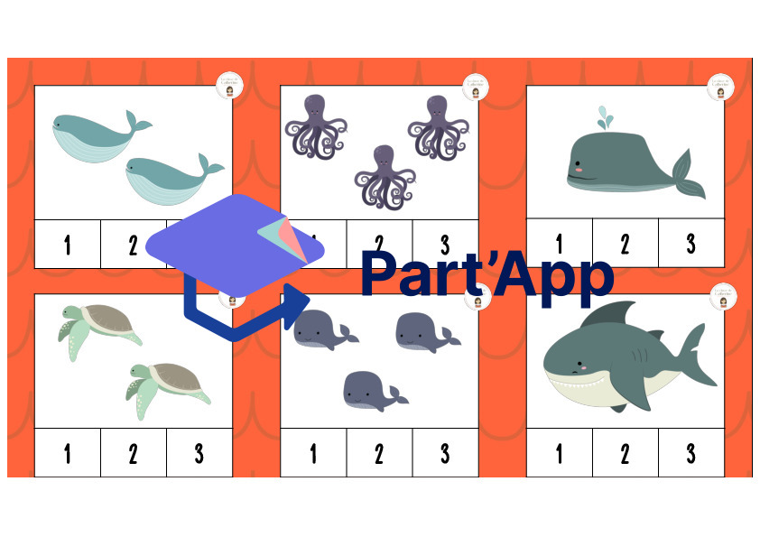 24 cartes à pince collections jusqu'à 9 sous l'océan_8