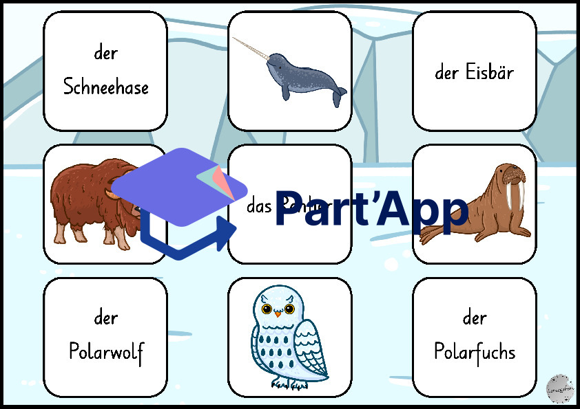 Guck nicht über die Mauer: Arktische Tiere_40