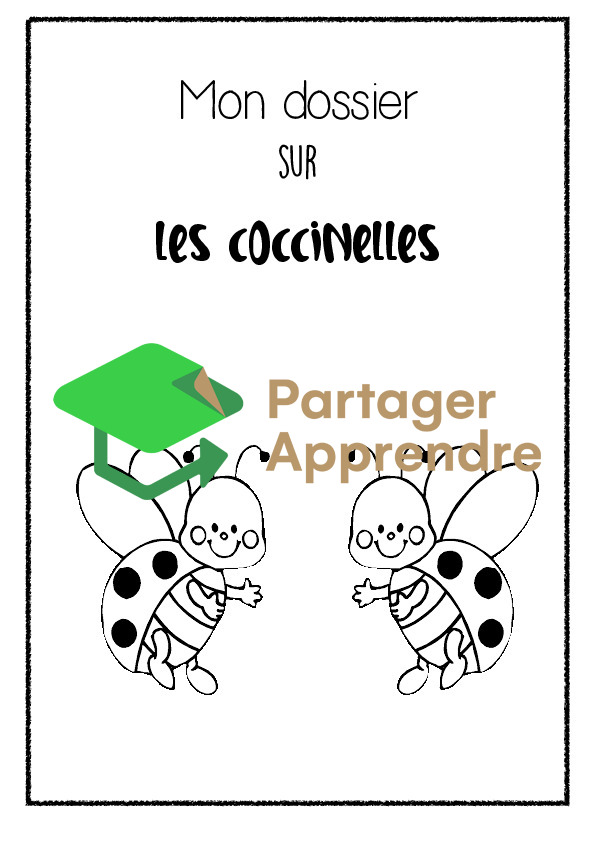 Dossier sur la coccinelle_2
