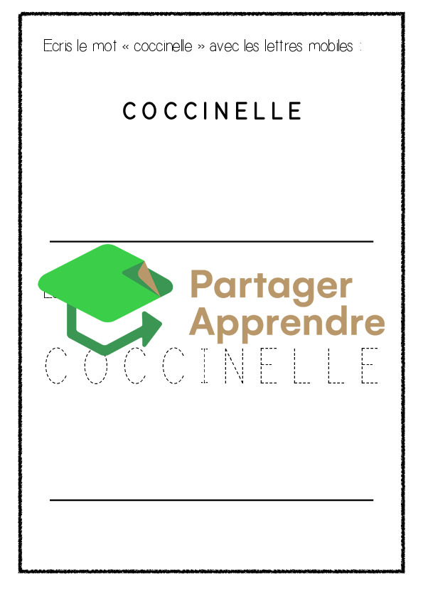 Dossier sur la coccinelle_4