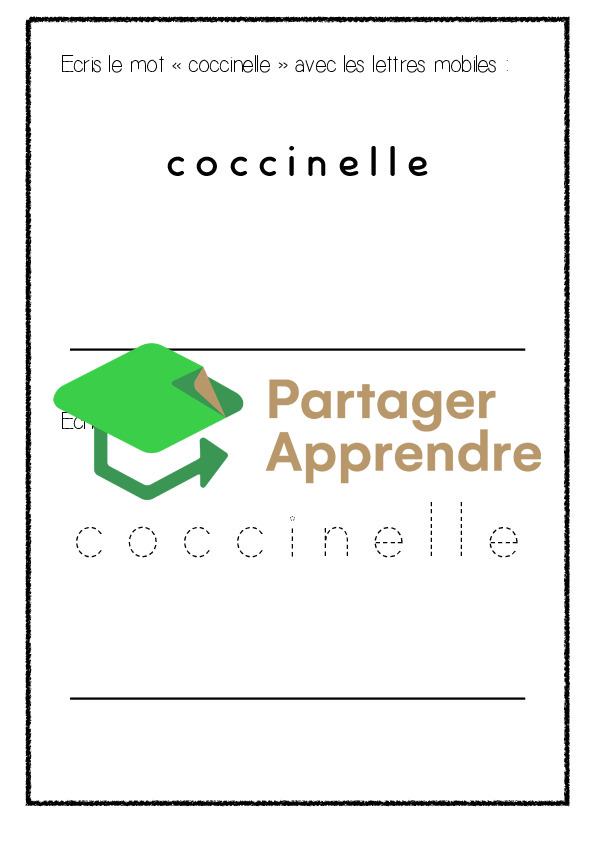 Dossier sur la coccinelle_5