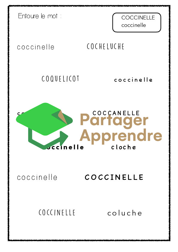 Dossier sur la coccinelle_7