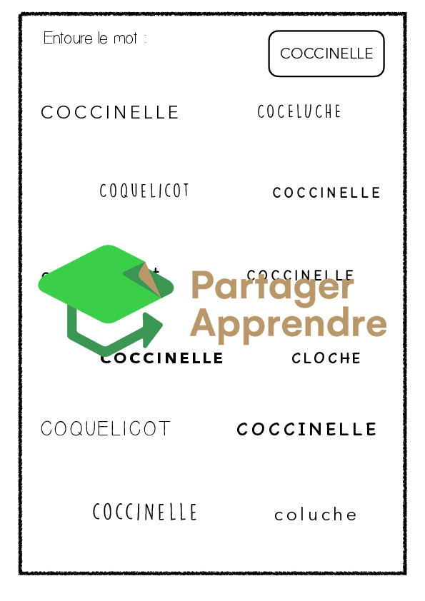 Dossier sur la coccinelle_8