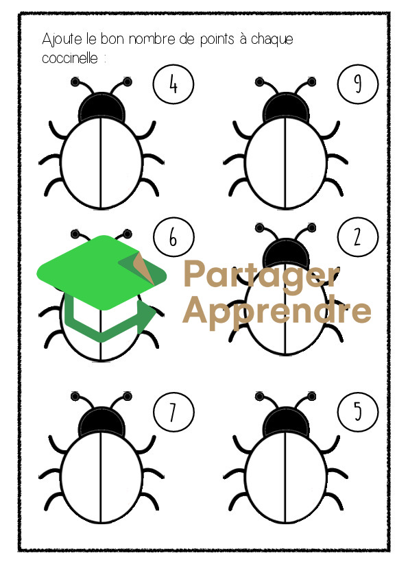 Dossier sur la coccinelle_10