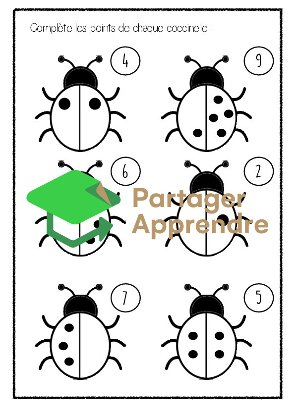 Dossier sur la coccinelle_11
