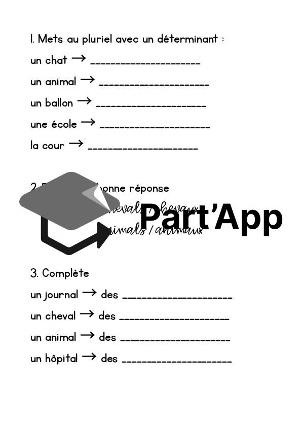 Ceinture d'orthographe 🔴 rouge – Les pluriels courants_13