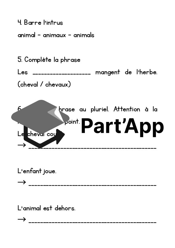 Ceinture d'orthographe 🔴 rouge – Les pluriels courants_14