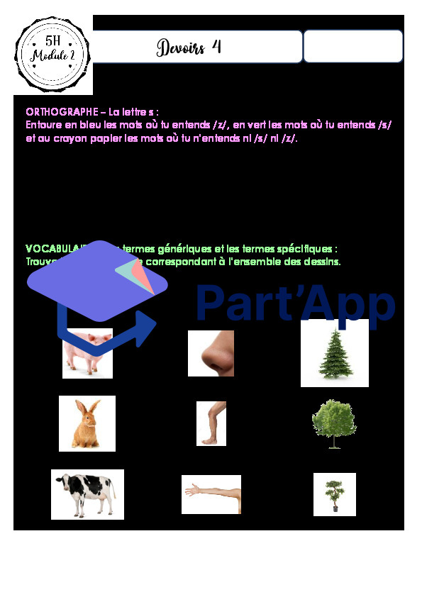 Fiches de devoirs - MER 5P - Module 2_8
