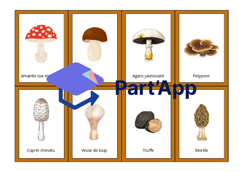 Le vocabulaire des champignons_2
