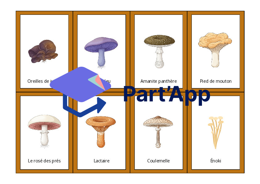 Le vocabulaire des champignons_3