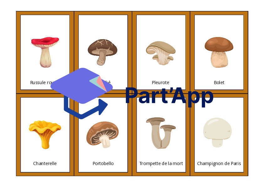 Le vocabulaire des champignons_4