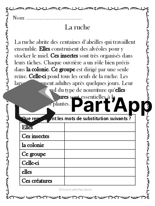 Les mots de substitution dans un texte_5