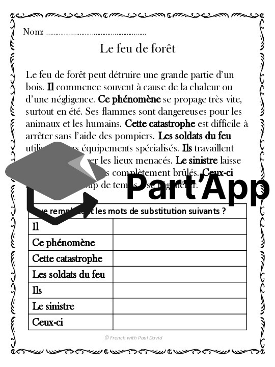 Les mots de substitution dans un texte_6