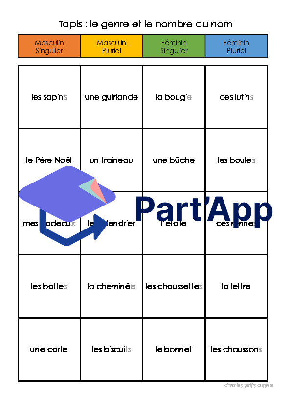 Tapis : genre et nombre du nom_2