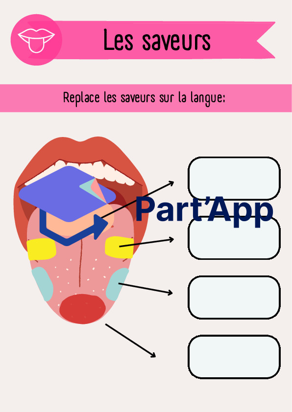 SHN - Les 5 sens : Le goût_31