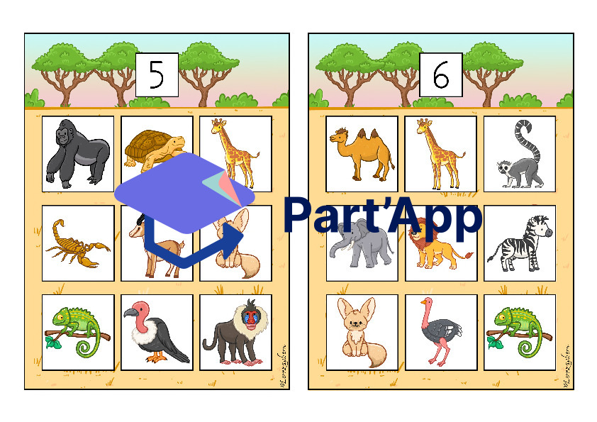 Bilderbingo: Afrika / Safari_4