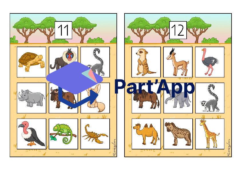 Bilderbingo: Afrika / Safari_7
