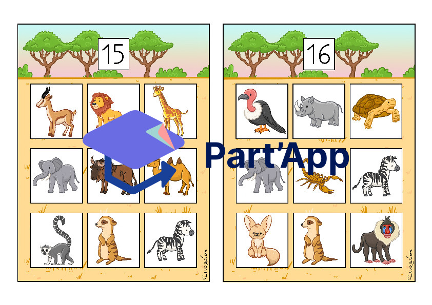 Bilderbingo: Afrika / Safari_9