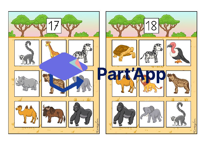 Bilderbingo: Afrika / Safari_10