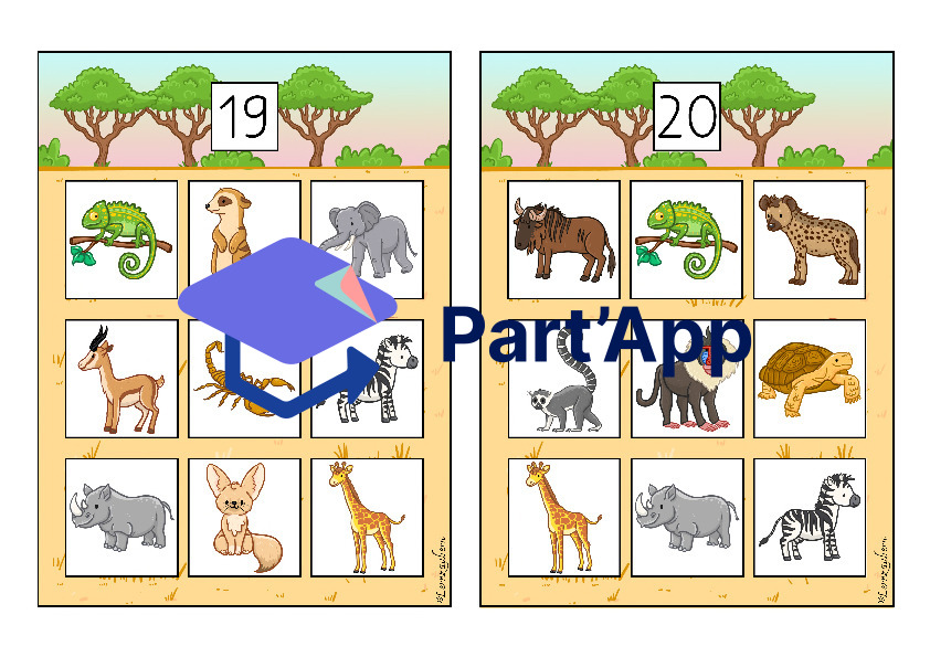 Bilderbingo: Afrika / Safari_11