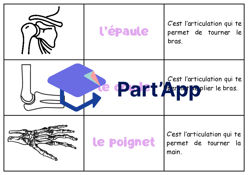 Atelier sur les articulations_2