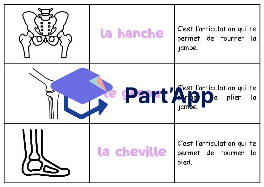 Atelier sur les articulations_3