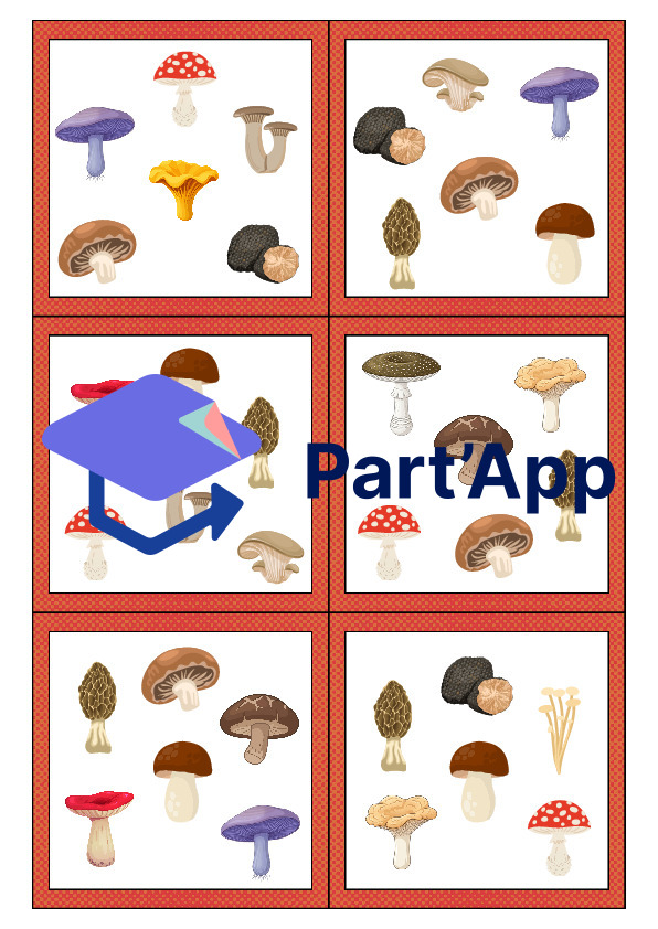 Les doubles des champignons_6