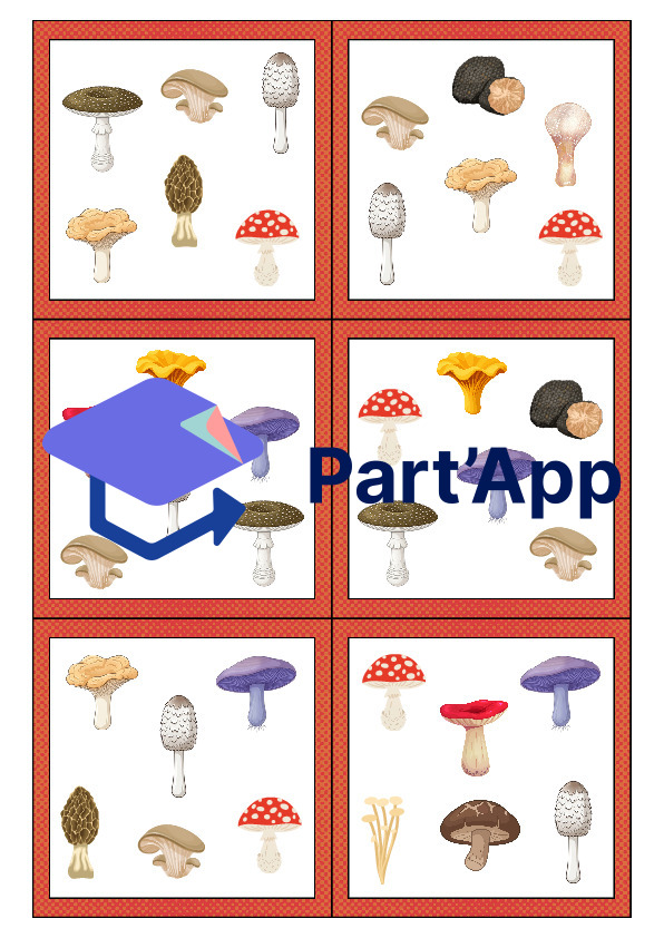 Les doubles des champignons_7
