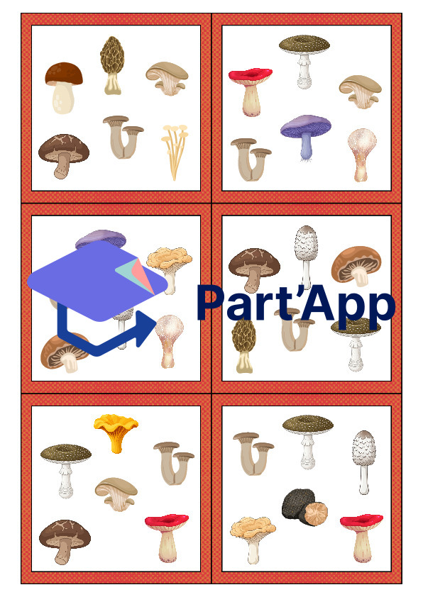 Les doubles des champignons_8