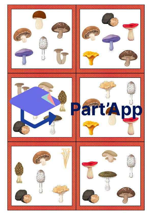 Les doubles des champignons_9