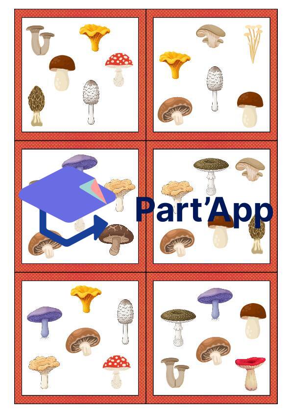Les doubles des champignons_10