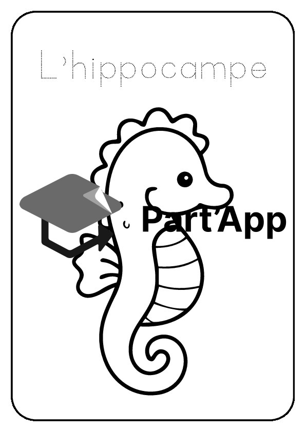 Dossier coloriage animaux marins_10