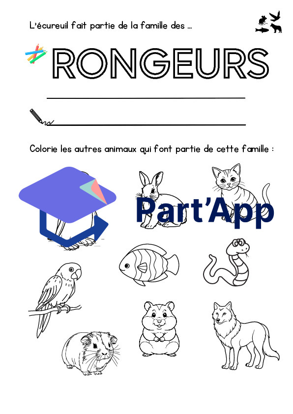 Dossier sur l'écureuil_7