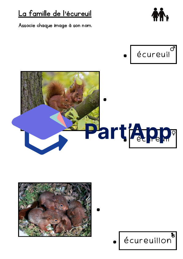 Dossier sur l'écureuil_9
