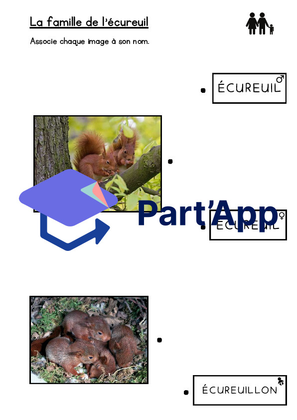 Dossier sur l'écureuil_10