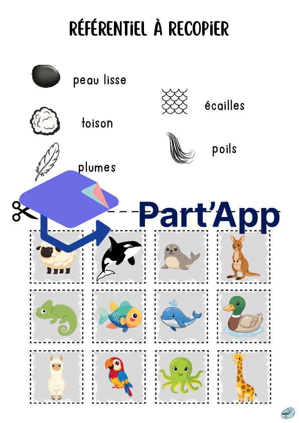 Classification des animaux | par types de pelages_5