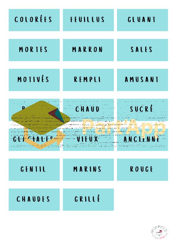 Français 5P - Atelier - Groupe Nominal_4